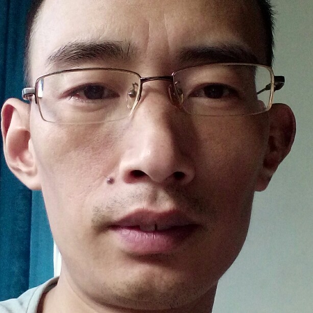 明理愿树叶的照片