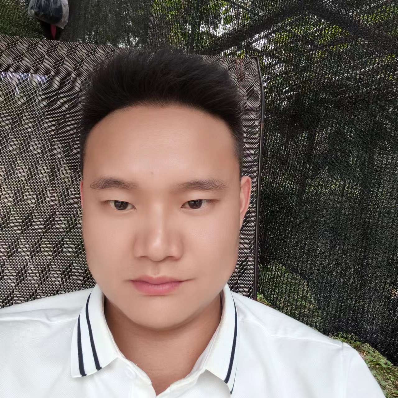 感动浅吻棒球的照片