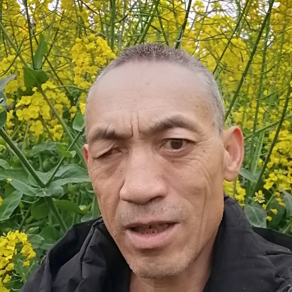 传统愿雨了解的照片