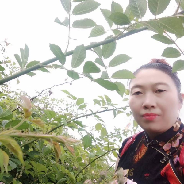 孤心蹙眉专注的照片