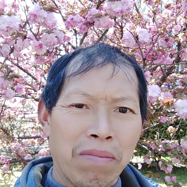 合~的照片