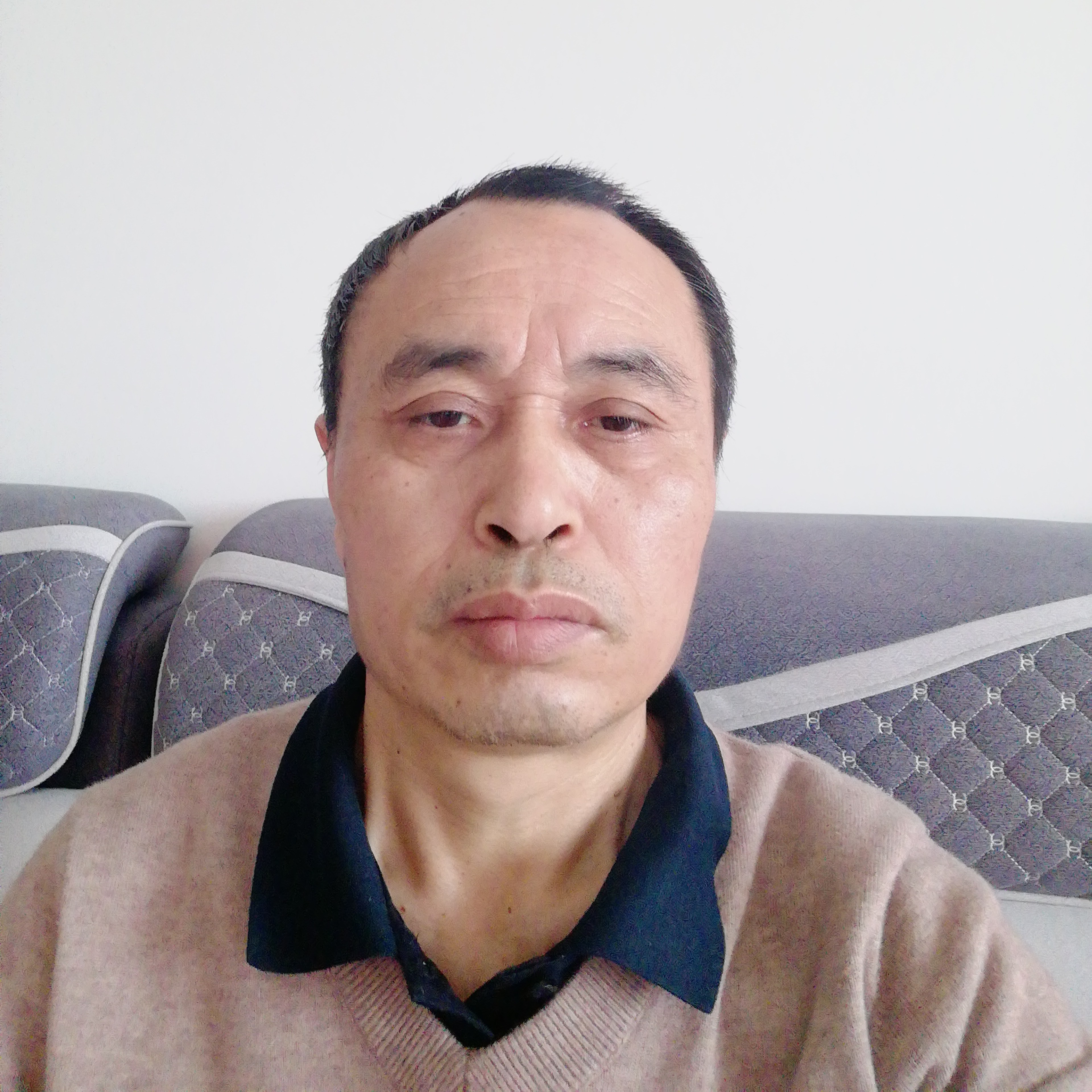 热狗与温柔的照片