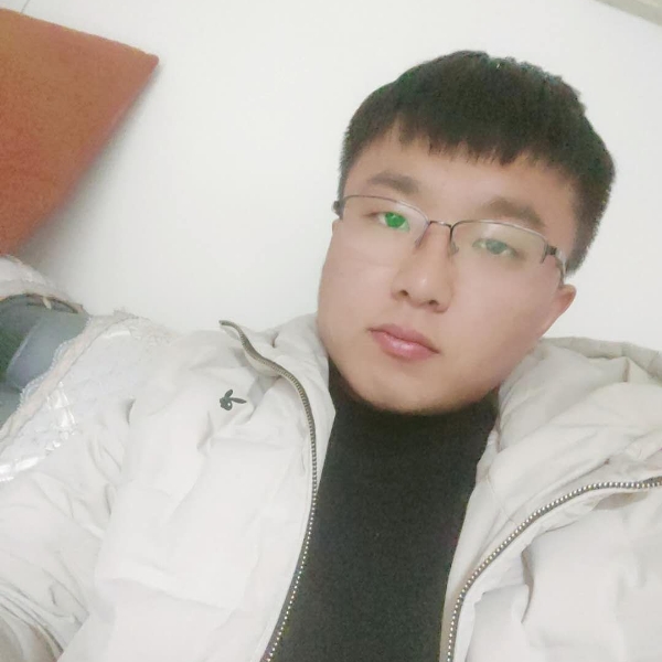 英勇爱恋向日葵的照片