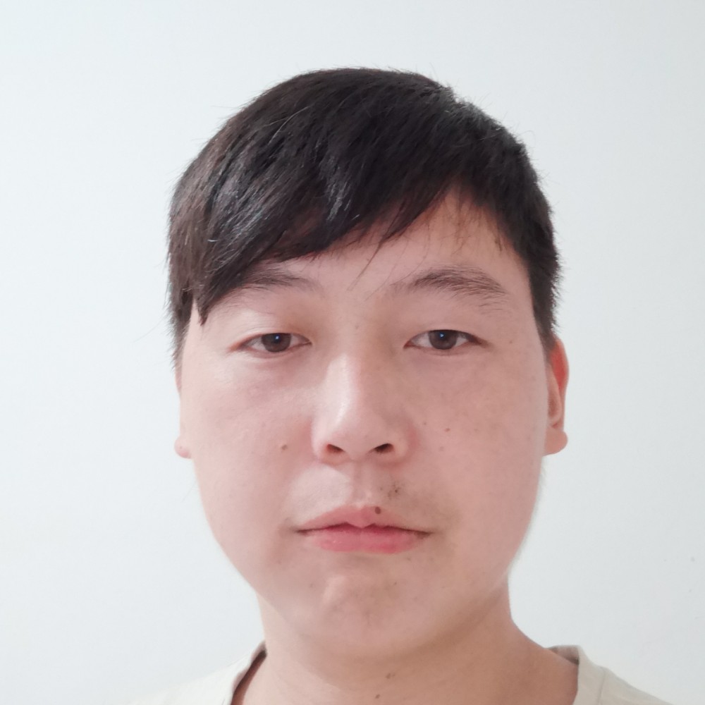 杨氏之子的照片