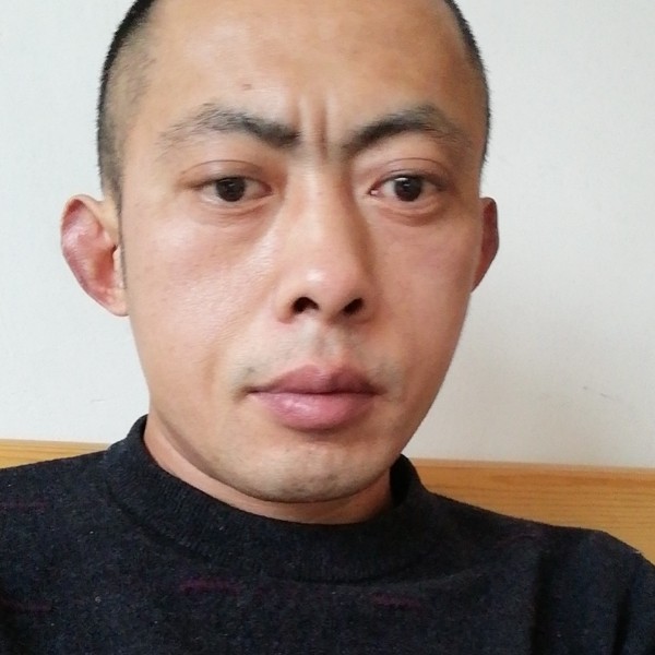 板凳给无情的照片