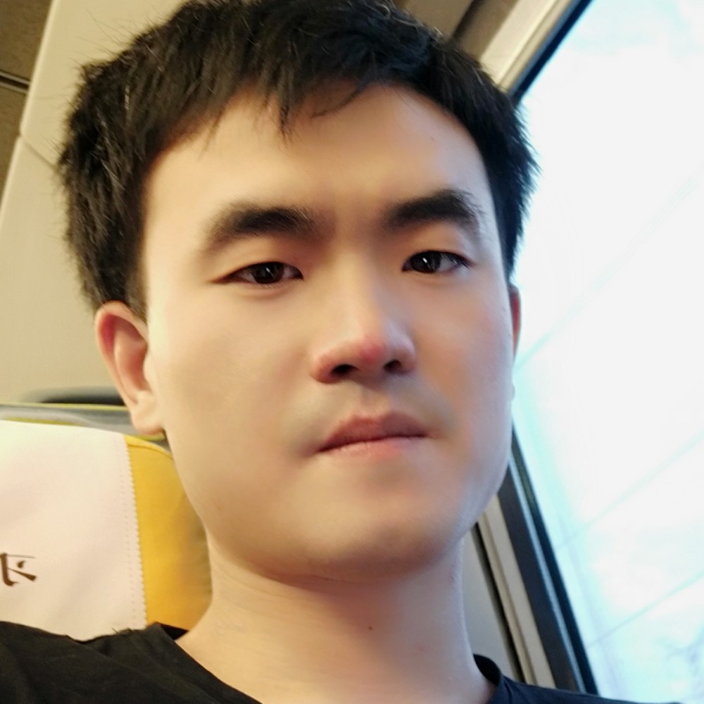 善良小海豚的照片