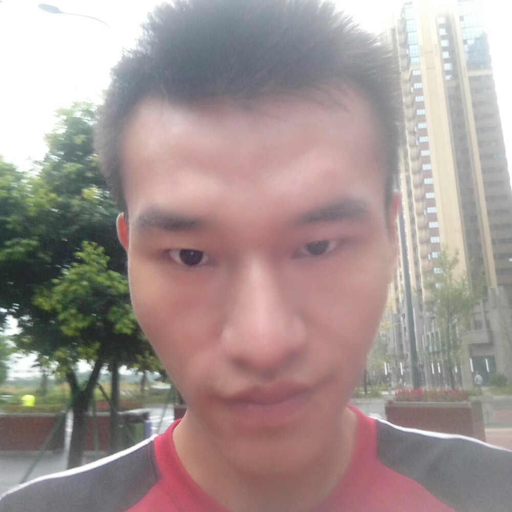 俭朴小白菜的照片