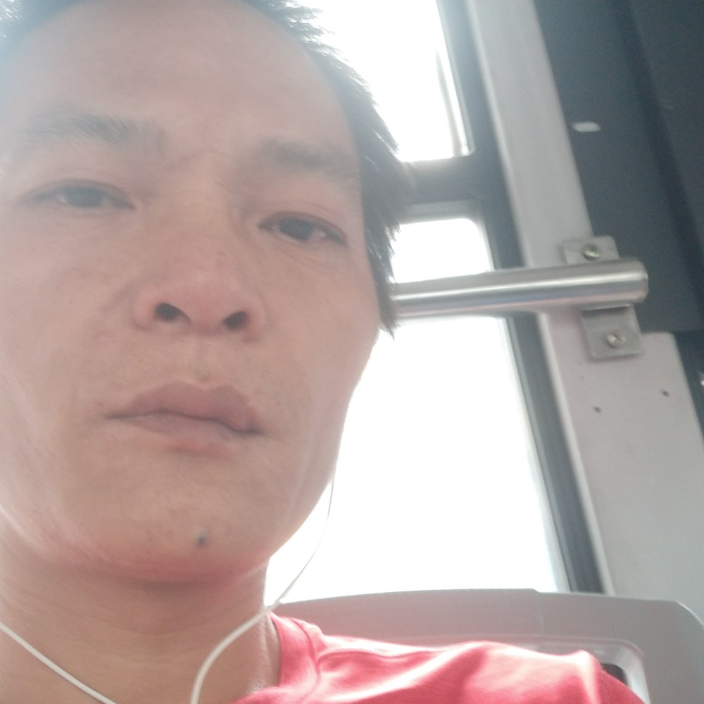 沉静挽手忘忧的照片