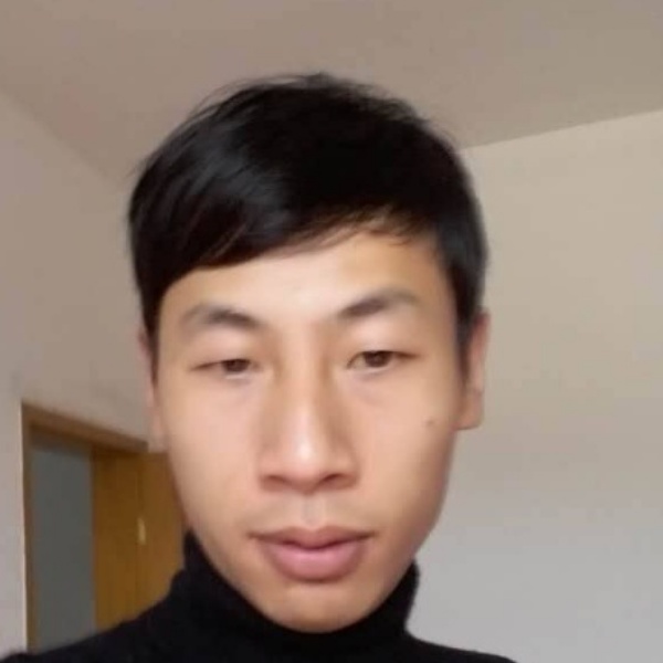 落寞大象的照片
