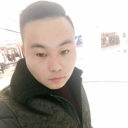 寻找我的花的照片