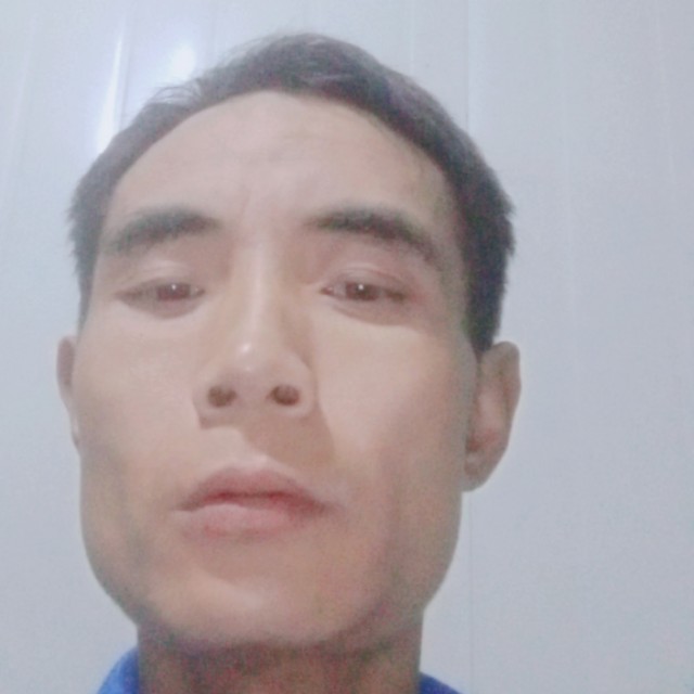 标致扯板栗的照片