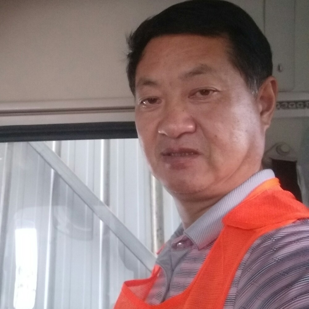 靓丽的砖头的照片