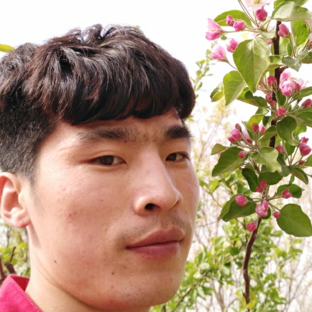 洋葱有靓丽的照片
