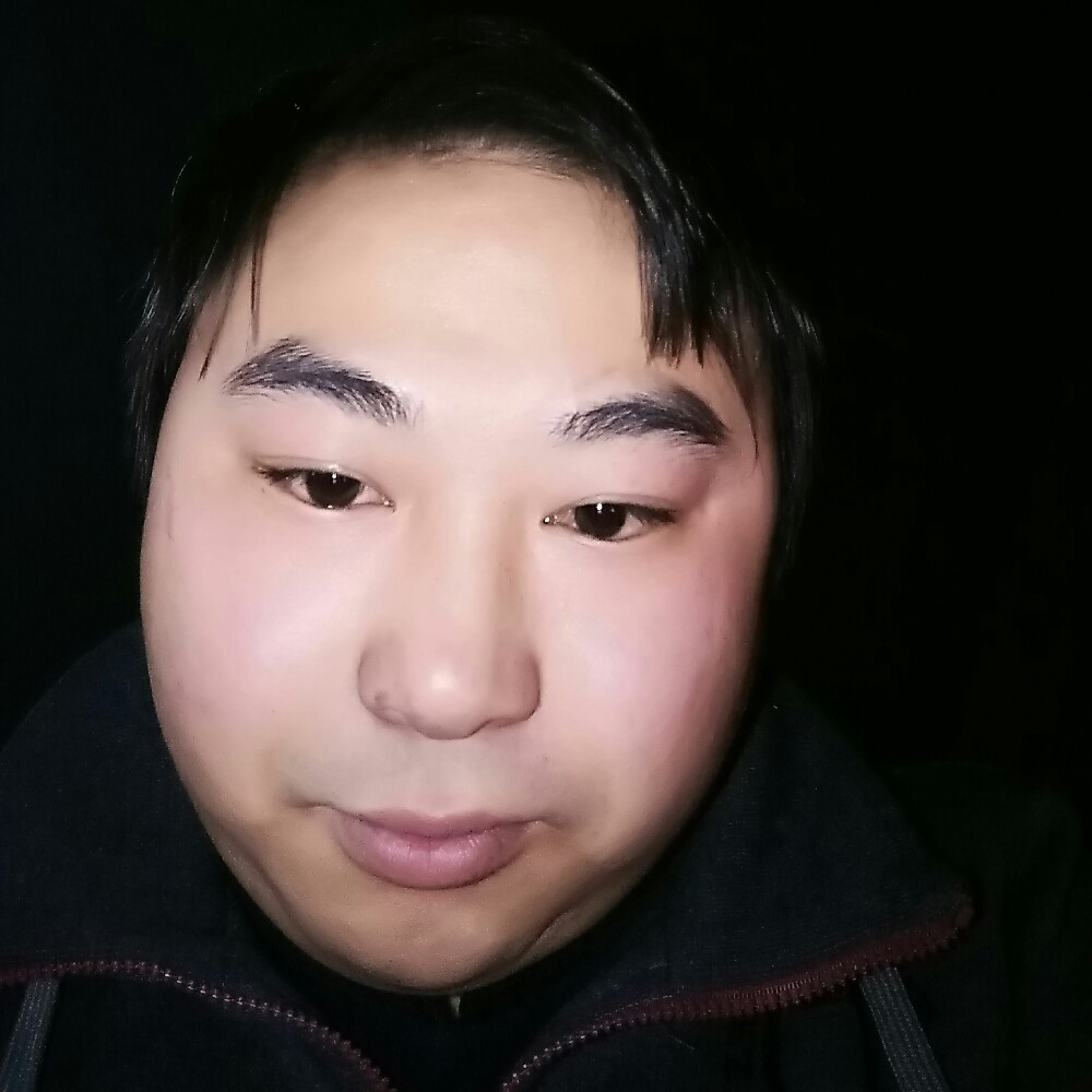 聪明海燕的照片