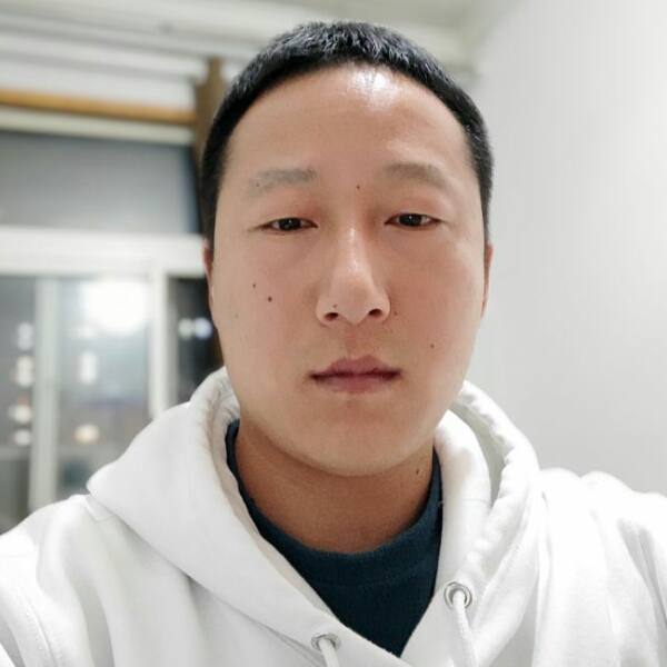 悲凉凝眸大象的照片
