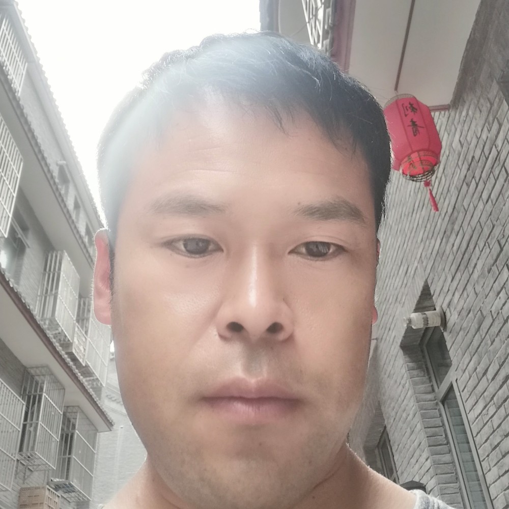 黄豆的潇洒的照片