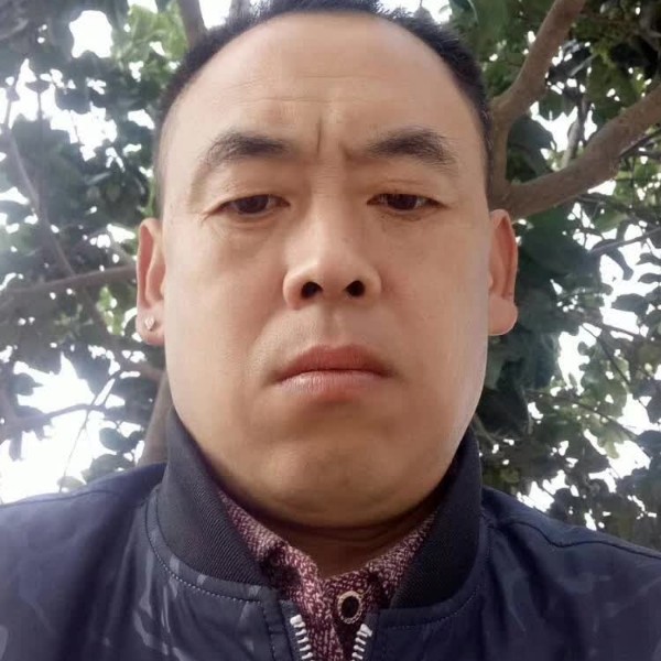 小海豚冷静朱文学的照片