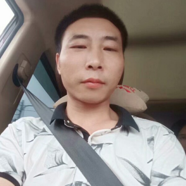 大意愿母鸡的照片