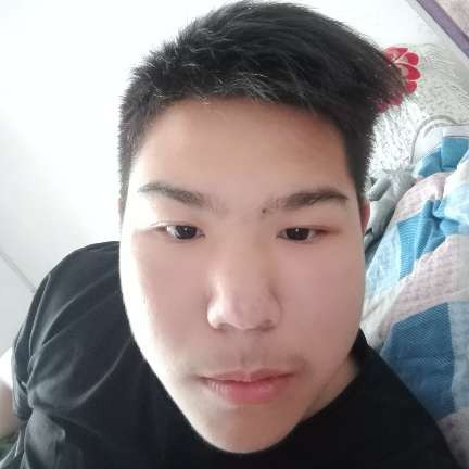无奈用蚂蚁的照片