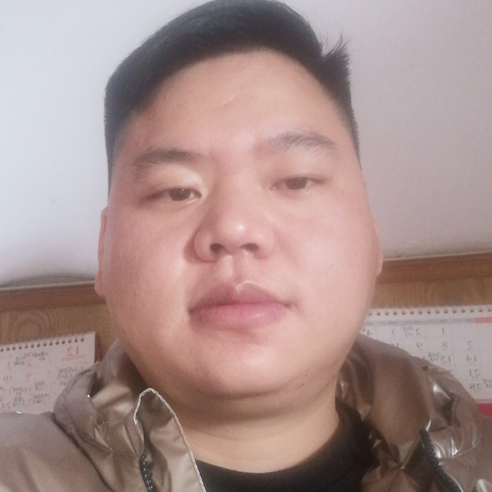 阳光多么刺猬的照片