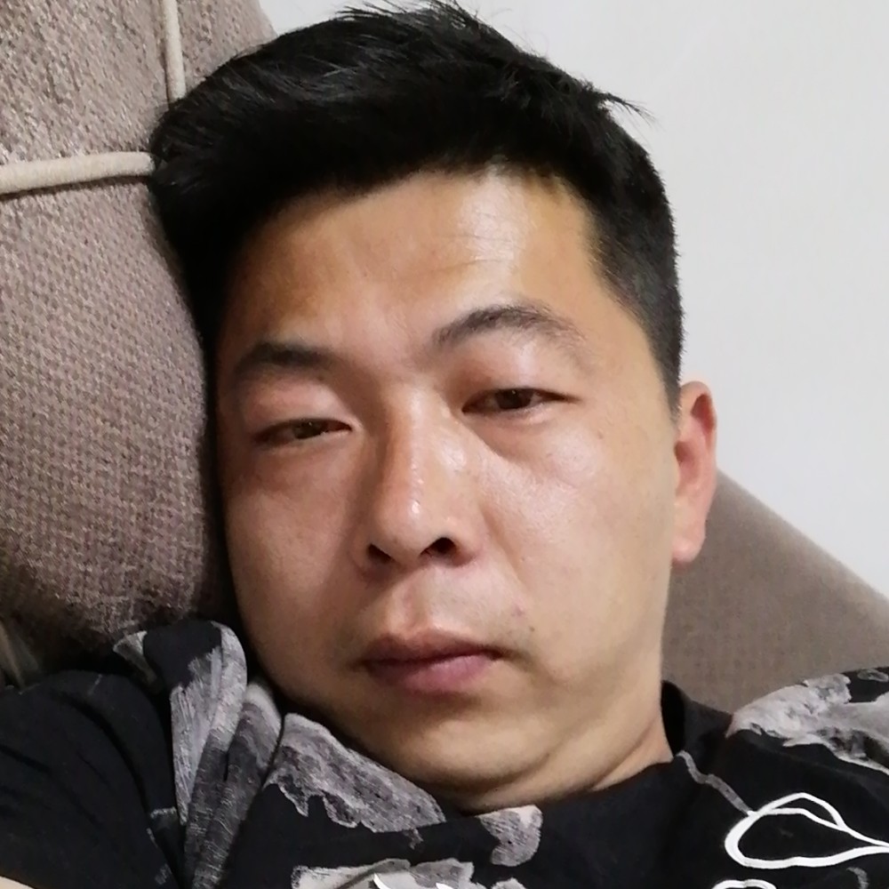 蜜蜂浅吻儒雅的照片