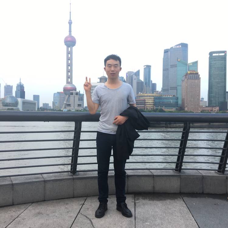 如意拾忆黄蜂的照片