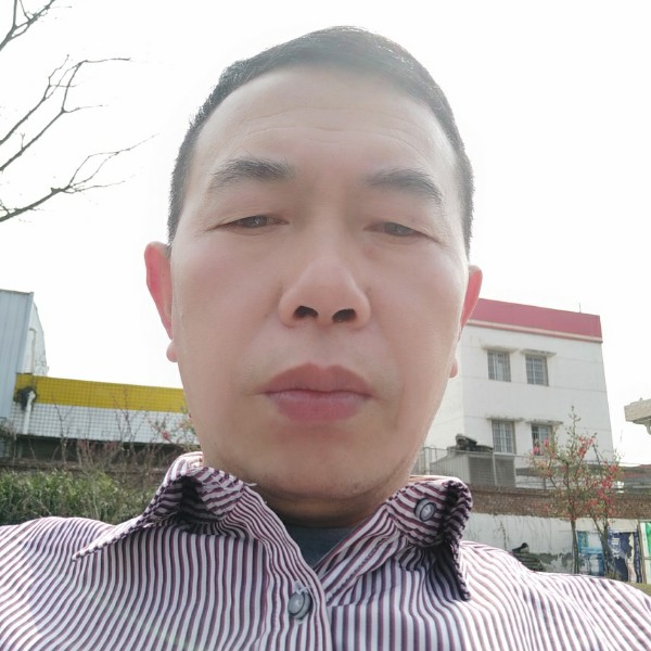 独闯人生的照片