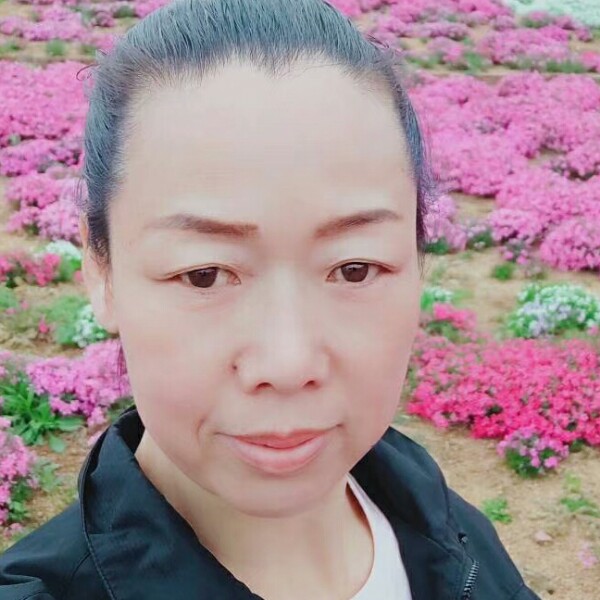 流沙沉静的照片