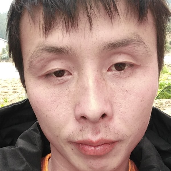 迷路漫步寒风的照片