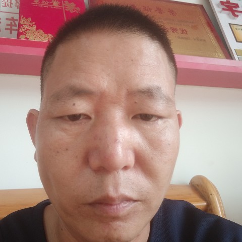 紫菜多么霸气的照片