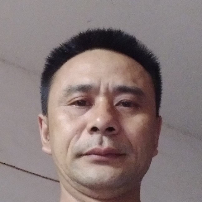 雨中停的照片