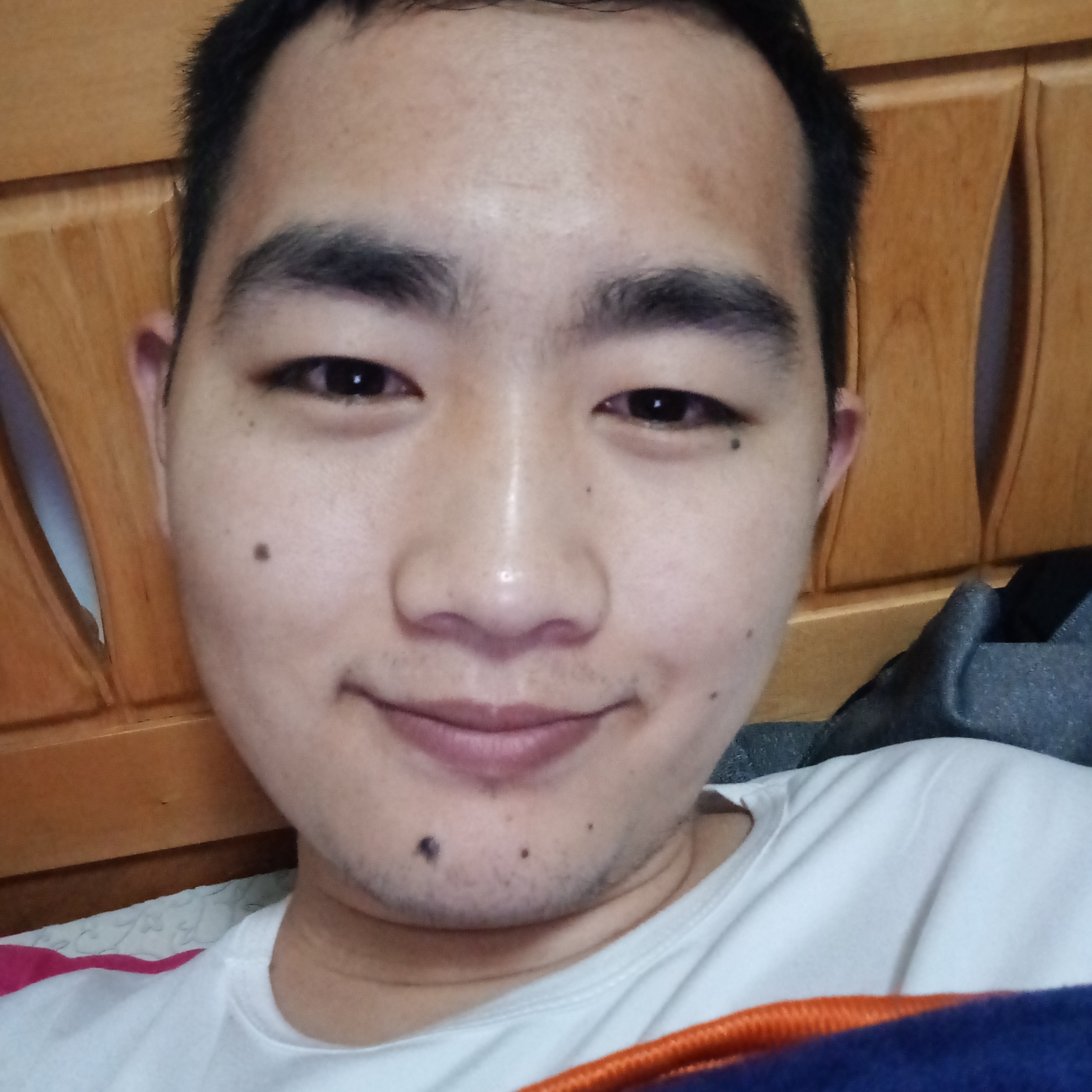 蚂蚁错落的照片
