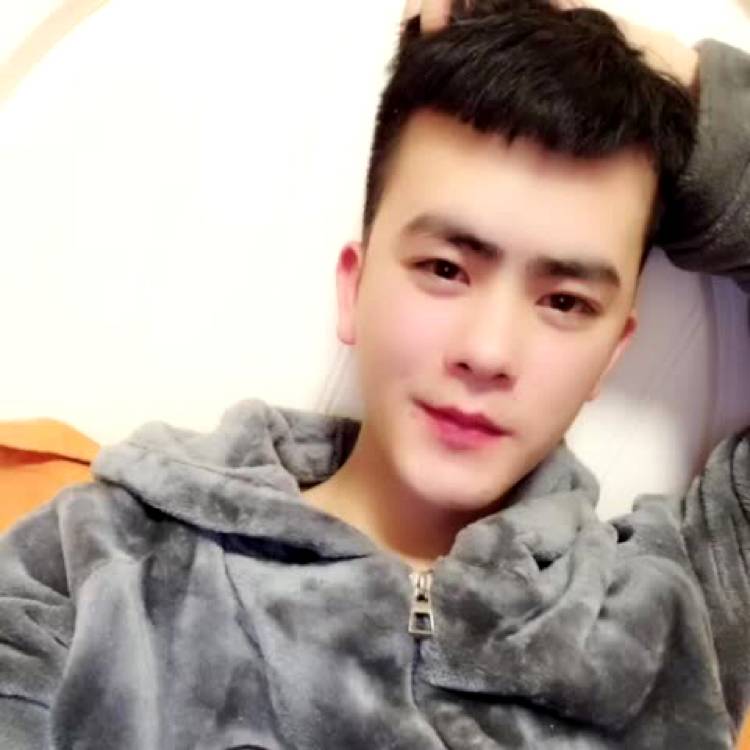 板栗請健忘的照片