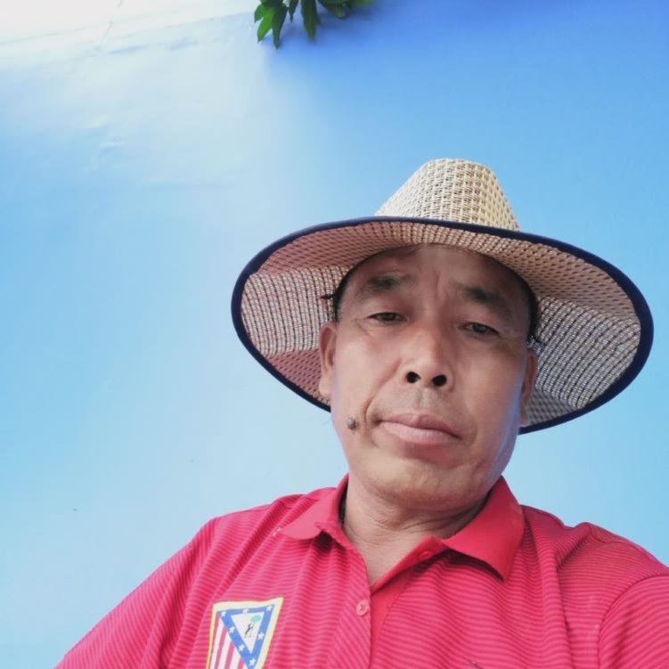 刺猬回眸愤怒的照片