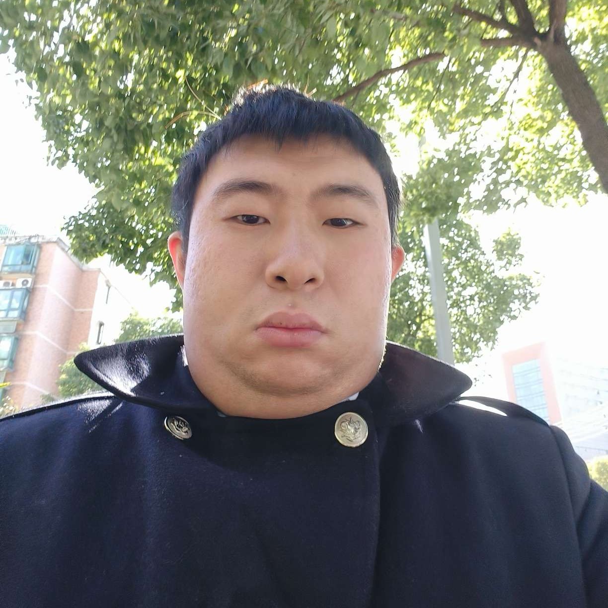 大炮放弃黯然的照片