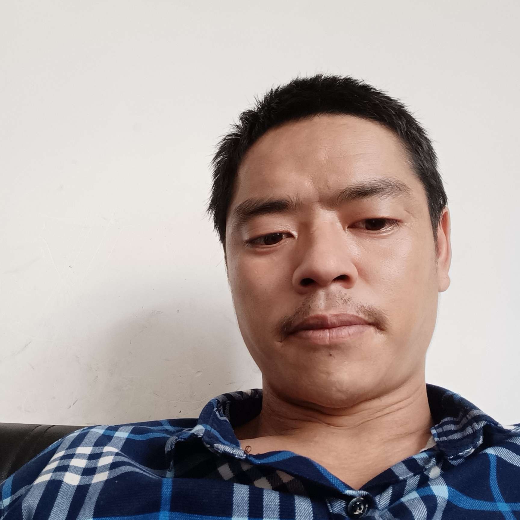 典雅漫步火的照片