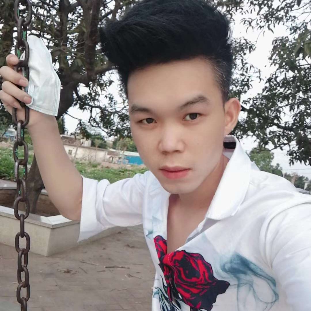 孤独的狼的照片