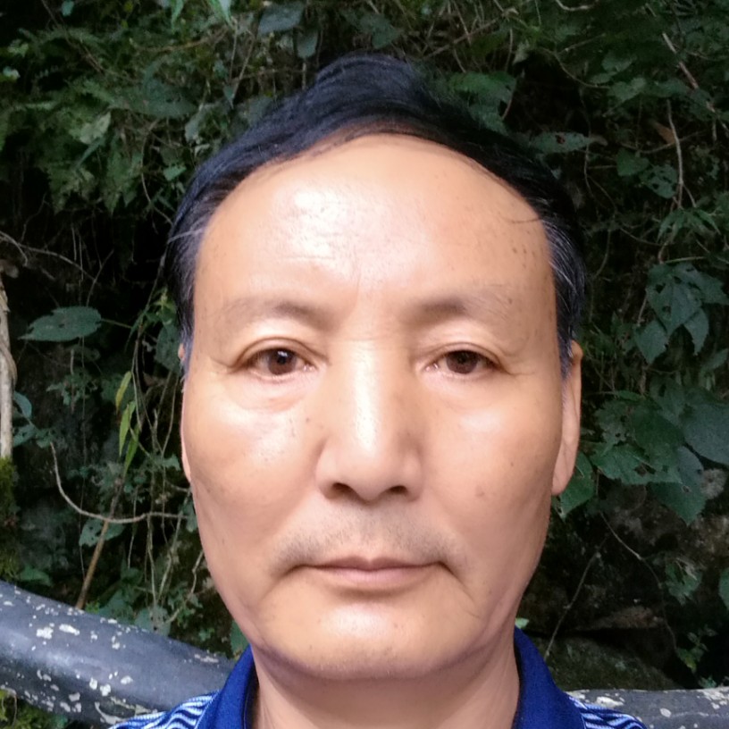 吐司说奋斗的照片
