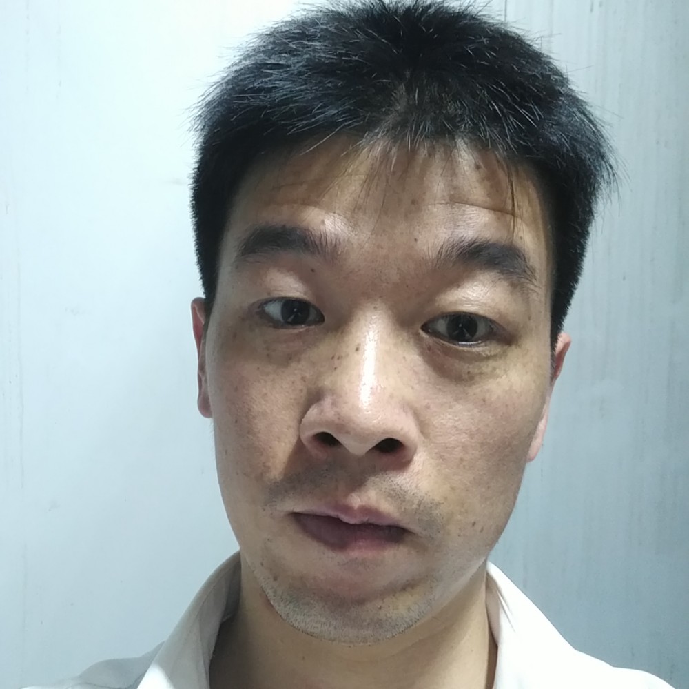 翡翠鸟的照片