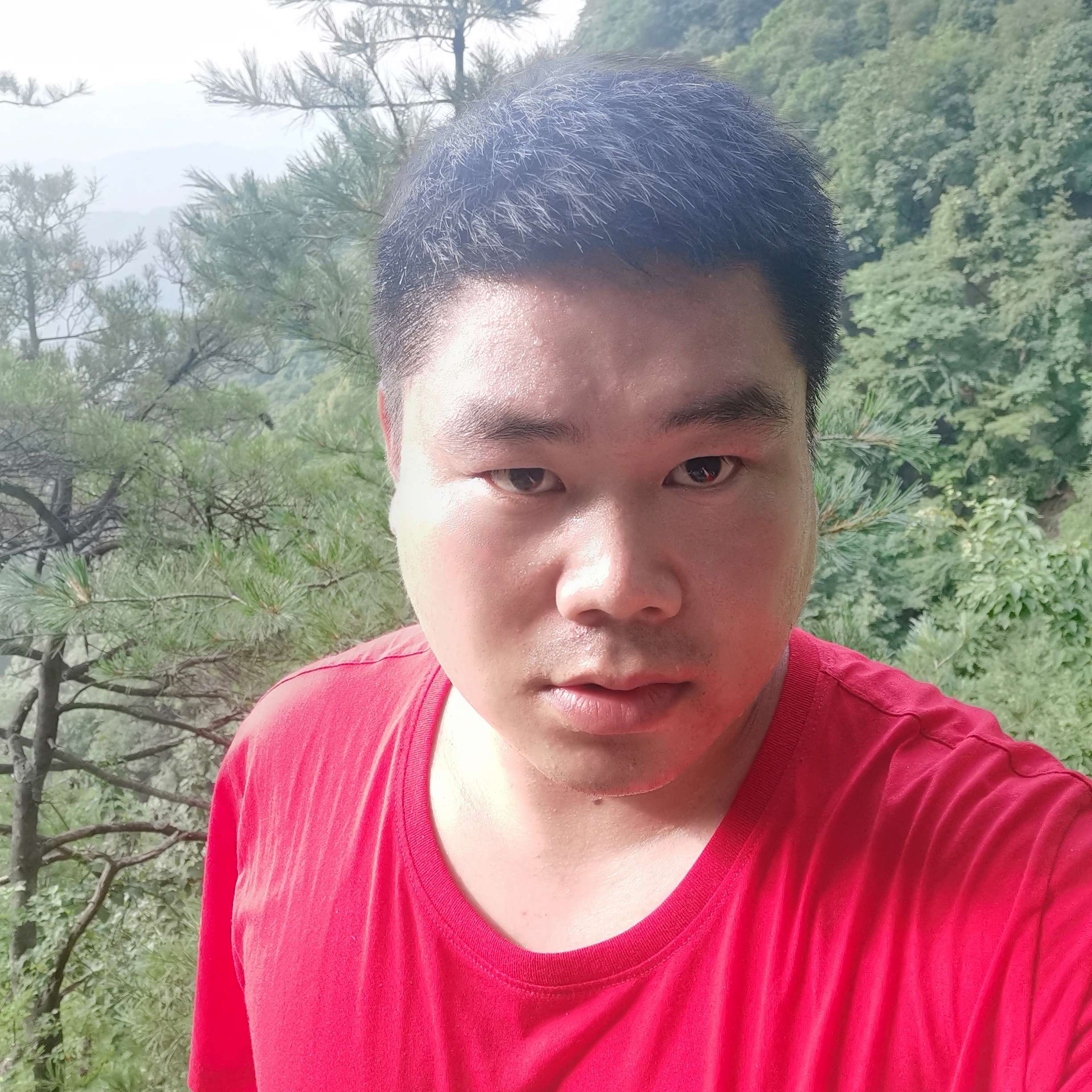 简单背后的不寻常的照片