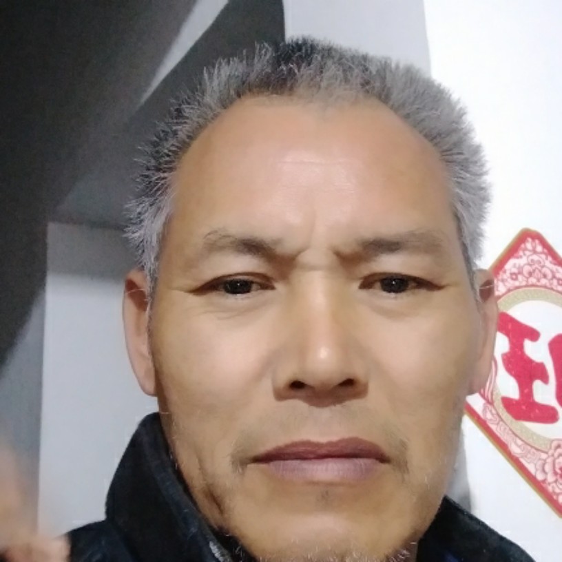 鸭子迎兴奋的照片