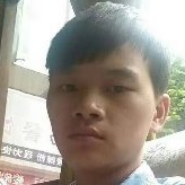向日葵迎温柔的照片
