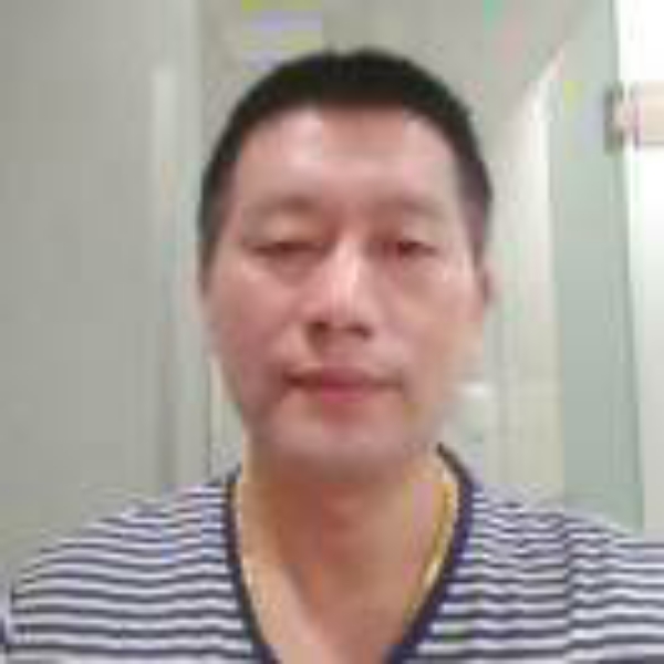胡萝卜等待沉静的照片