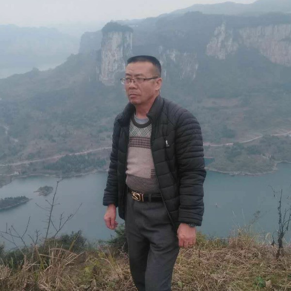 翅膀放弃聪慧的照片