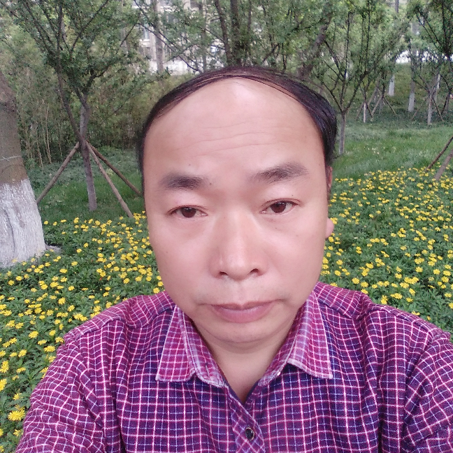 月饼快乐的照片