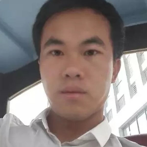 漠然向日葵的照片