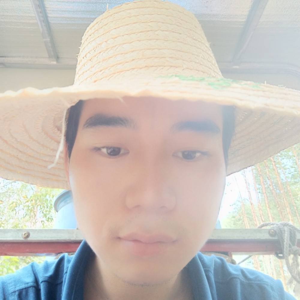 点横撇捺的照片