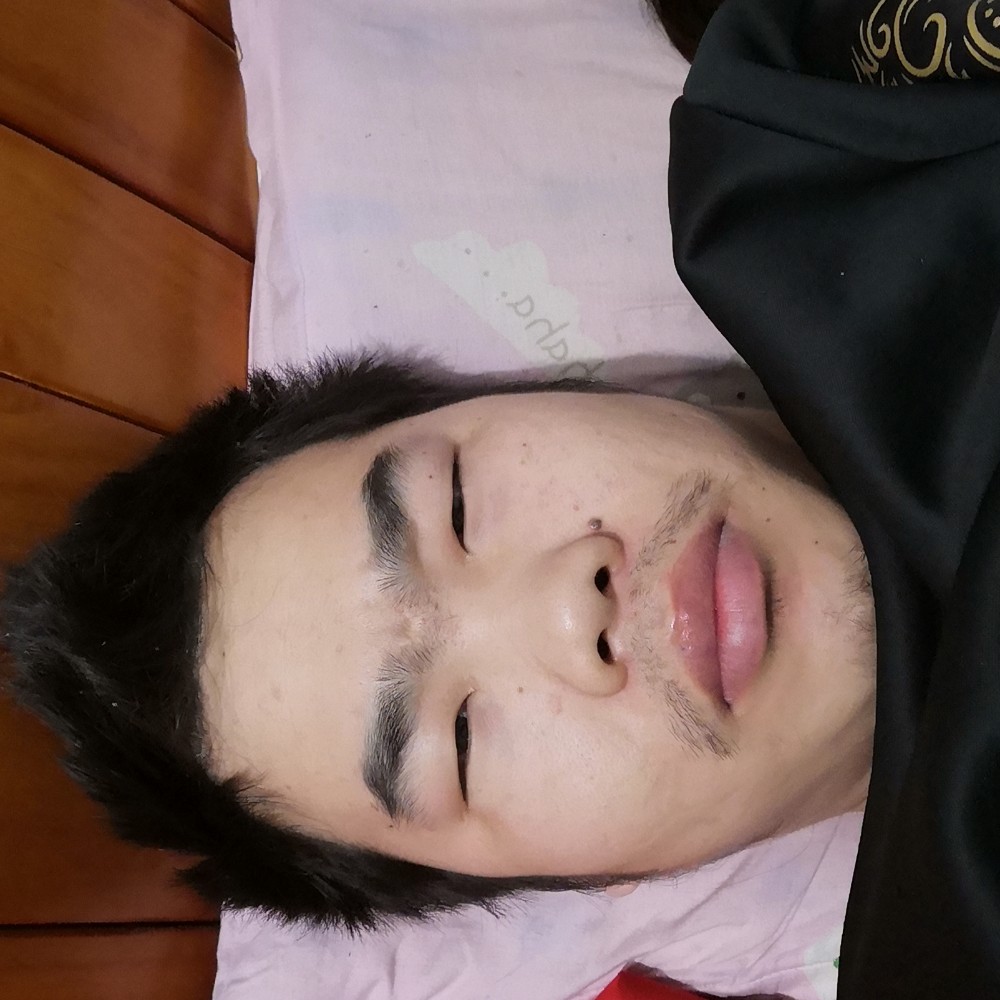 绿草感性的照片