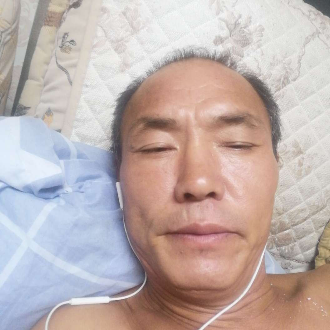 虚心回首斑马的照片