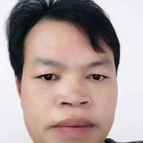 菠萝天真的照片